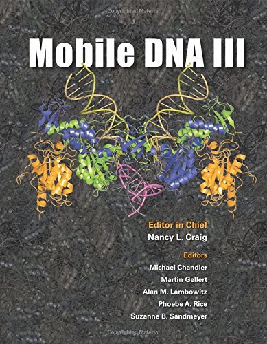 Mobile DNA III