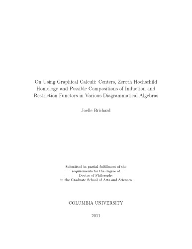 On Using Graphical Calculi: Centers, Zeroth Hochschild Homology and Possible Compositions of Induction and Restriction Functors in Various Diagrammatical Algebras