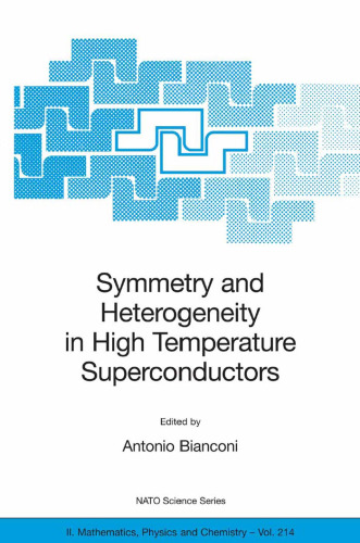 Symmetry and heterogeneity in high temperature superconductors