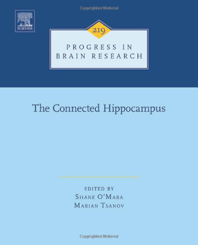 The Connected Hippocampus