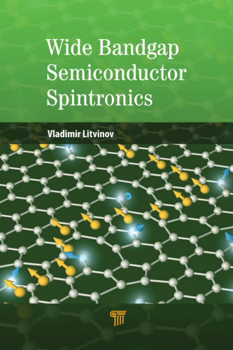 Wide bandgap semiconductor spintronics