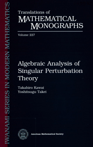 Algebraic Analysis of Singular Perturbation Theory