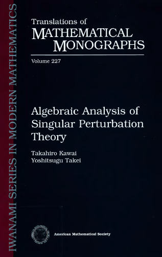 Algebraic Analysis of Singular Perturbation Theory