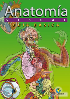 Anatomía Visual - Guía Básica