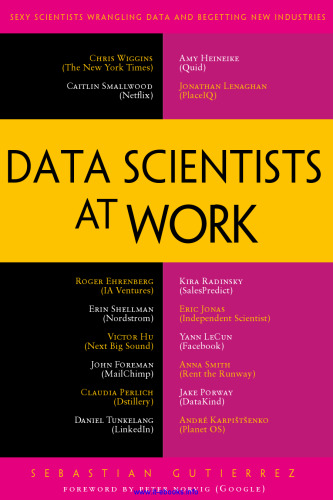 Data Scientists at Work