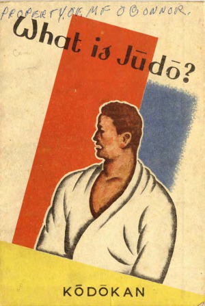 What is Judo