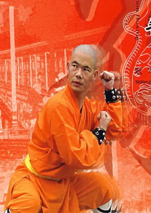 Cannon Boxing Shaolin Kung Fu