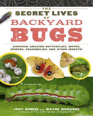 The Secret Lives of Backyard Bugs  Discover Amazing Butterflies, Moths, Spiders, Dragonflies, and Other Insects!