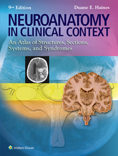 Neuroanatomy in Clinical Context: An Atlas of Structures, Sections, Systems, and Syndromes