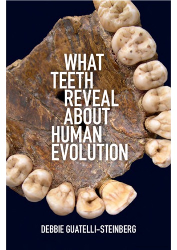 What teeth reveal about human evolution