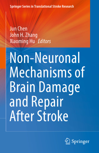 Non-Neuronal Mechanisms of Brain Damage and Repair After Stroke