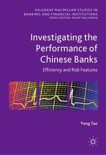 Investigating the Performance of Chinese Banks: Efficiency and Risk Features