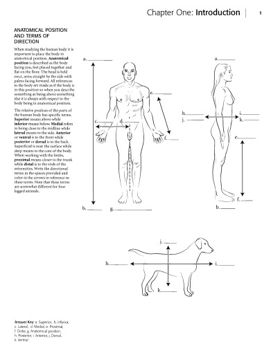 Anatomy coloring book