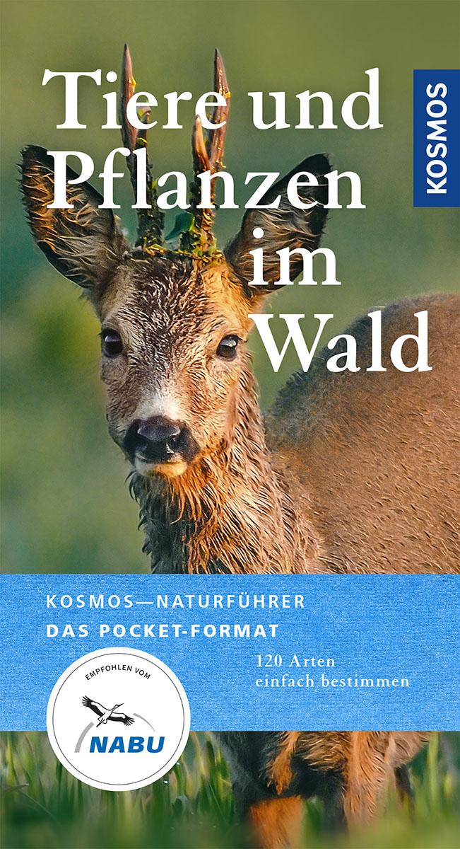 Tiere und Pflanzen unserer Wälder: 120 Arten einfach bestimmen