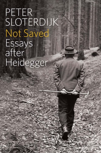 Not Saved: Essays After Heidegger