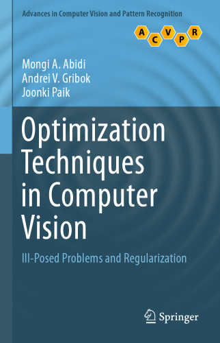 Optimization Techniques in Computer Vision: Ill-Posed Problems and Regularization