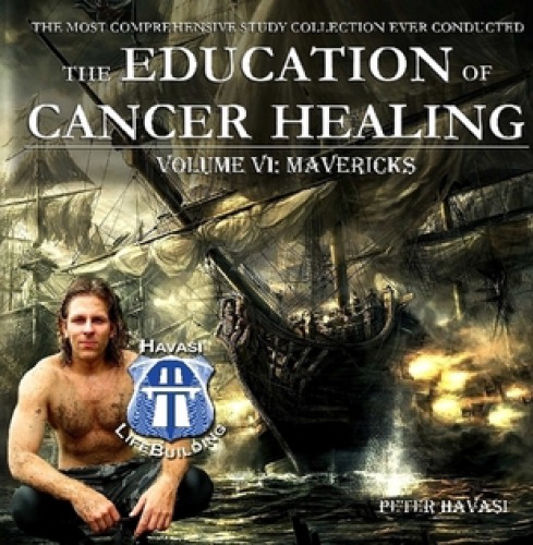 Education of Cancer Healing Vol. VI - Mavericks