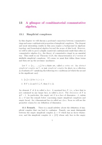 Algebraic Combinatorics, Chapter 13: A glimpse of combinatorial commutative algebra