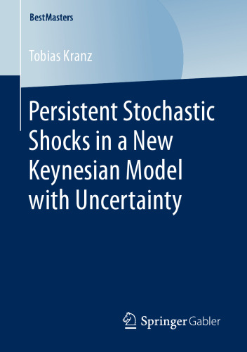 Persistent Stochastic Shocks in a New Keynesian Model with Uncertainty