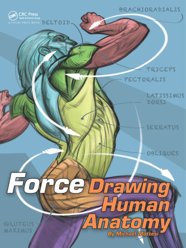 Force. Drawing human anatomy