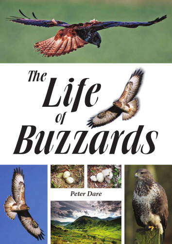 The life of buzzards