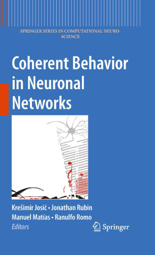 Coherent behavior in neuronal networks