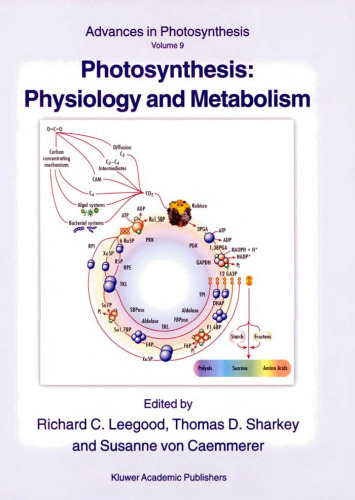 Photosynthesis and the environment