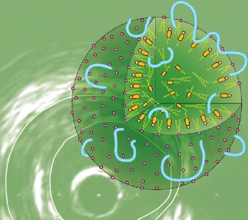 Therapeutic Strategies in Lipid Disorders