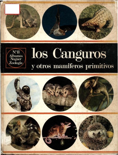 Los canguros y otros mamíferos primitivos