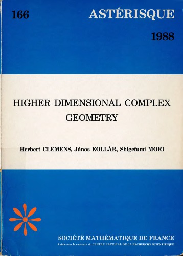 Higher dimensional complex geometry