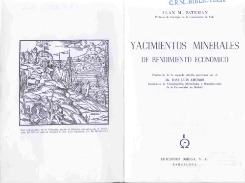 Yacimientos minerales de rendimiento económico