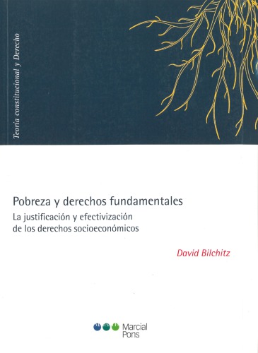 Pobreza y derechos fundamentales. La justificación y efectivización de los derechos socioeconómicos