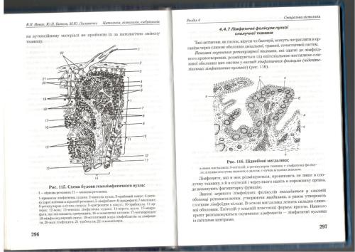 Цитологія гістологія ембріологія. Частина 2