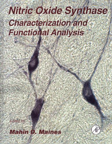 Nitric Oxide Synthase Characterization and Functional Analysis