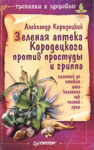 Зеленая аптека Кородецкого против простуды и гриппа: Золотой ус. Стевия. Алоэ. Каланхоэ. Лук. Чеснок. Хрен