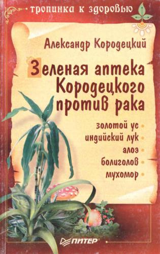 Зеленая аптека Кородецкого против рака: золотой ус, индийский лук, алоэ, болиголов, мухомор