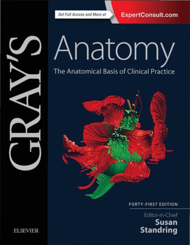 Gray's Anatomy. The Anatomical Basis of Clinical Practice. Part 1