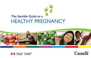 Public Health Agency of Canada. The Sensible Guide to a Healthy Pregnancy