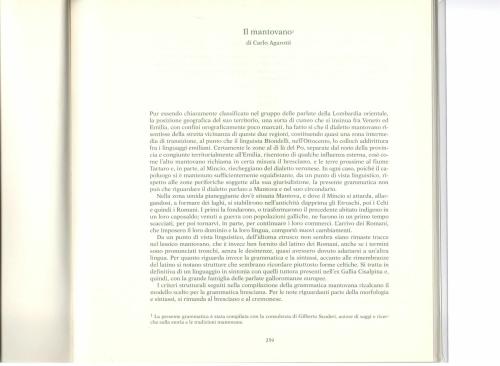 Il mantovano-Grammatica dei dialetti della Lombardia