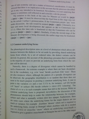 Modern Irish: Grammatical Structure and Dialectal Variation