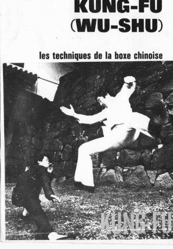 Kung-Fu (Wu-Shu), techniques de la boxe chinoise