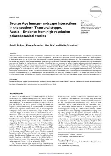 Bronze Age human-landscape interactions in the southern Transural steppe, Russia - Evidence from high-resolution palaeobotanical studies