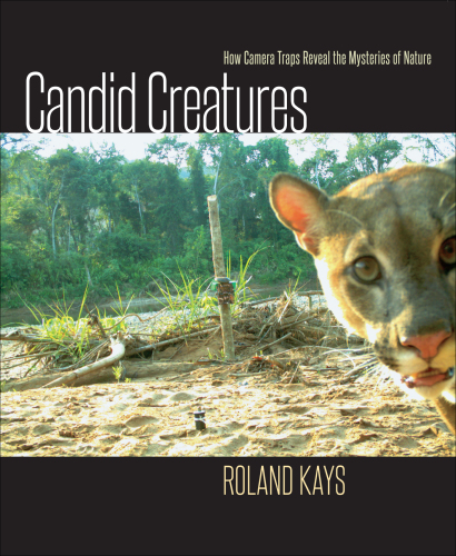 Candid Creatures: How Camera Traps Reveal the Mysteries of Nature