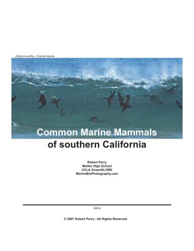 Common Marine Mammals of southern California