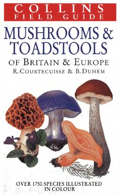 Mushrooms and Toadstools of Britain and Europe