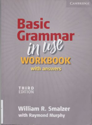 Basic Grammar in Use Workbook