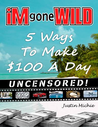 Internet Marketing Gone Wild. 5 ways to make $100 a day