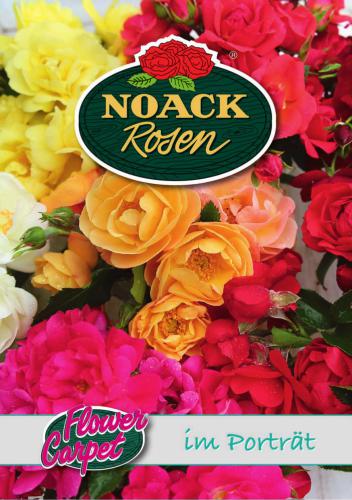 Noack Rosen