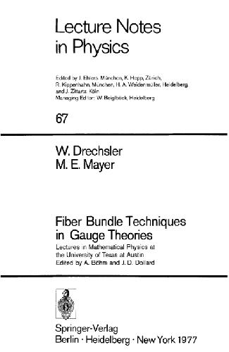 Fiber Bundle Techniques in Gauge Theories