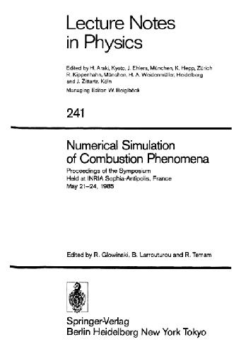 Numerical Simulation of Combustion Phenomena